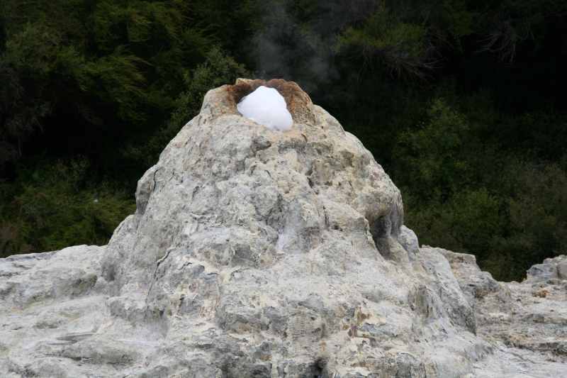 Nieuw-Zeeland 2011 - 0668